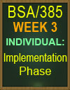 bsa/385 implementation phase tutorial
